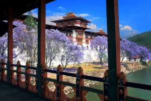 Punakha dzong from the bridge is a stunning fotress